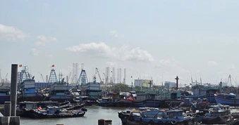 Vì sao TP.HCM chưa chi tiền hỗ trợ cho hàng trăm chủ tàu cá?