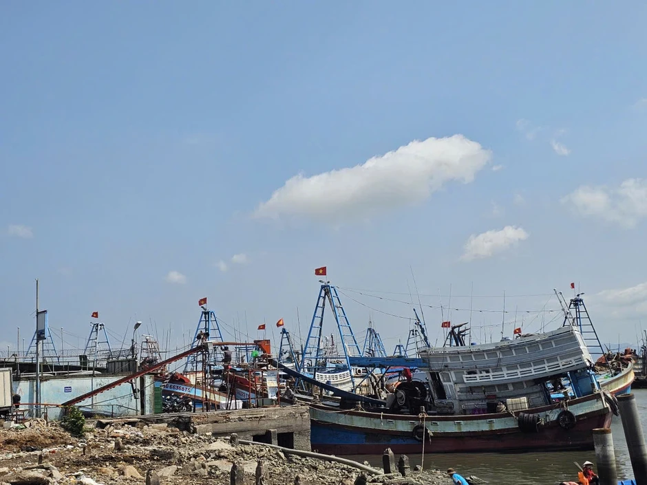 Vì sao TP.HCM chưa chi tiền hỗ trợ cho hàng trăm chủ tàu cá? Vì sao TP.HCM chưa chi tiền hỗ trợ cho hàng trăm chủ tàu cá?