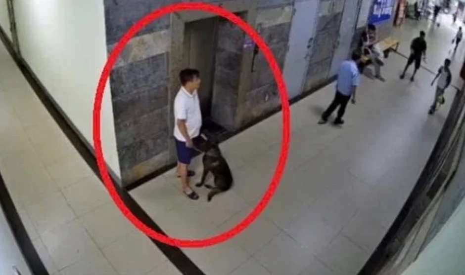 Vụ đánh người vì bị nhắc đeo rọ mõm cho chó ở Hà Nội: Người dân chung cư nói gì? Vụ đánh người vì bị nhắc đeo rọ mõm cho chó ở Hà Nội: Người dân chung cư nói gì?
