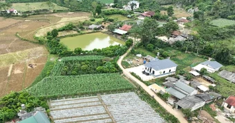 Xây nhà trên đất nông nghiệp gần 30 năm, xin chuyển sang đất ở có bị xử phạt?