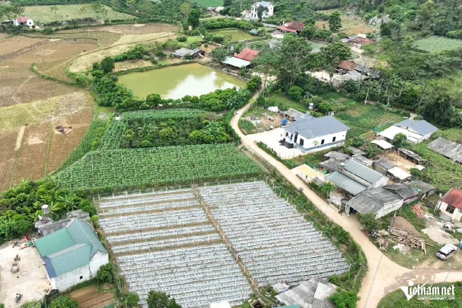Xây nhà trên đất nông nghiệp gần 30 năm, xin chuyển sang đất ở có bị xử phạt?