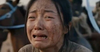 Bộ phim Hoắc Khứ Bệnh khiến cả giới giải trí lao đao