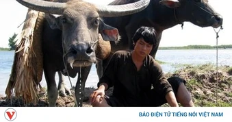 Đóng phim cùng… 300 con trâu, dàn sao Việt kể chuyện “dở khóc dở cười”