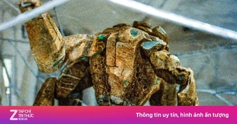 Giải mã sinh vật giống nhện nhưng toàn thân là đá ở ngoài hành tinh