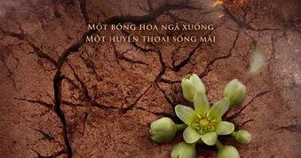 Khởi động dự án điện ảnh về nữ anh hùng Võ Thị Sáu