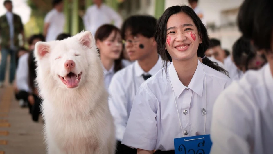Mỹ nhân làm đứt chuỗi phim Việt top 1 phòng vé suốt 87 ngày Mỹ nhân làm đứt chuỗi phim Việt top 1 phòng vé suốt 87 ngày