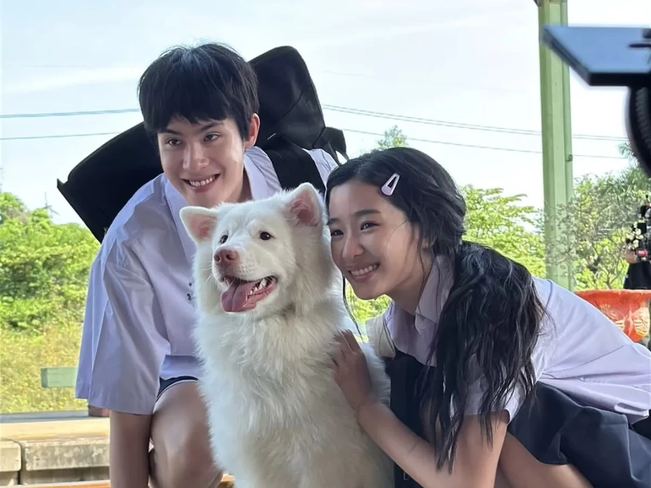 Mỹ nhân làm đứt chuỗi phim Việt top 1 phòng vé suốt 87 ngày Mỹ nhân làm đứt chuỗi phim Việt top 1 phòng vé suốt 87 ngày