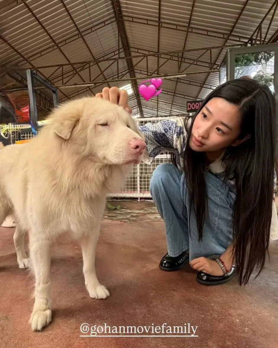 Mỹ nhân làm đứt chuỗi phim Việt top 1 phòng vé suốt 87 ngày Mỹ nhân làm đứt chuỗi phim Việt top 1 phòng vé suốt 87 ngày