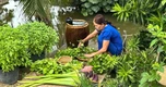 Nơi gói ghém một đời thương