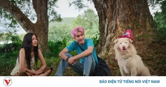 Tạm biệt Gohan, hành trình 10 năm của một chú chó hoang chiếm Top 1 phòng vé Việt