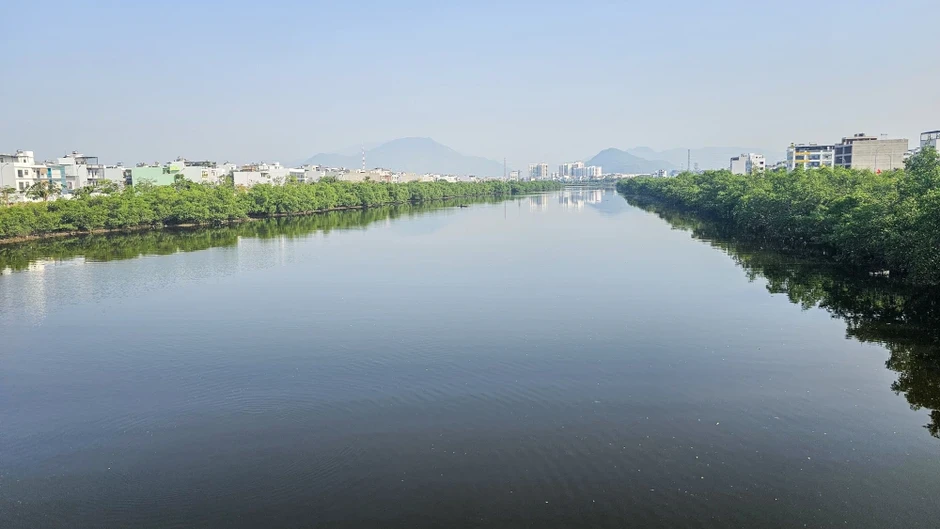 2 hàng cây khiến dự án 590 tỉ đồng chưa thể nghiệm thu: Khánh Hòa quyết chặt bỏ 2 hàng cây khiến dự án 590 tỉ đồng chưa thể nghiệm thu: Khánh Hòa quyết chặt bỏ