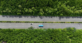 Cần thống nhất quy chuẩn áp dụng cho tuyến đường sắt Bến Thành - Cần Giờ