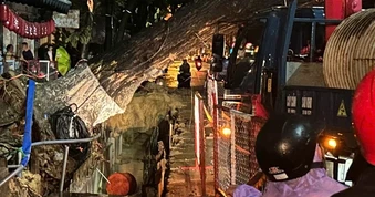 Cây cổ thụ bật gốc giữa đêm ở Đà Nẵng, nghi do đào đường