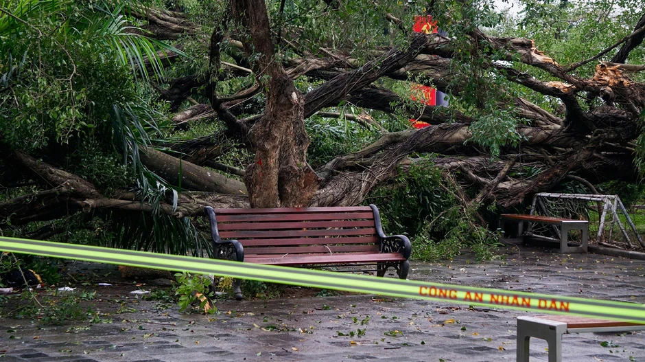 Cây si lớn bất ngờ gãy đổ trong vườn hoa ở Hà Nội, 1 người bị thương Cây si lớn bất ngờ gãy đổ trong vườn hoa ở Hà Nội, 1 người bị thương