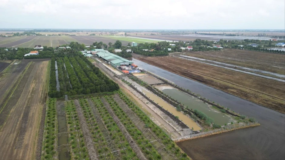 Công ty sản xuất xoài bị phạt hơn 170 triệu đồng vì xả thải, gây ô nhiễm