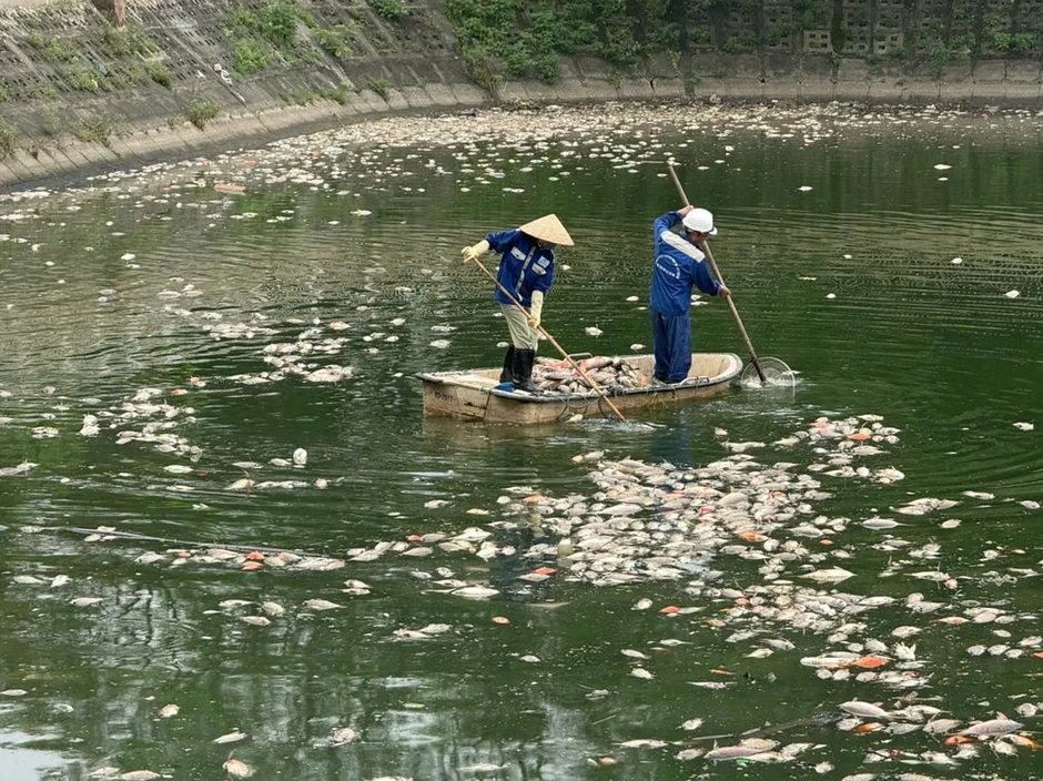 Hà Nội: Cá chết nổi trắng hồ điều hòa Công viên Nghĩa Đô Hà Nội: Cá chết nổi trắng hồ điều hòa Công viên Nghĩa Đô