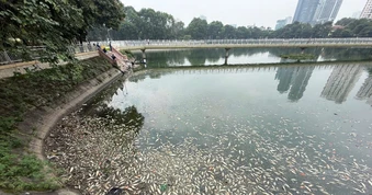 Hà Nội: Cá chết nổi trắng hồ điều hòa Công viên Nghĩa Đô