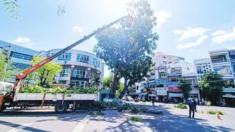 Không để bị động trước mùa mưa bão
