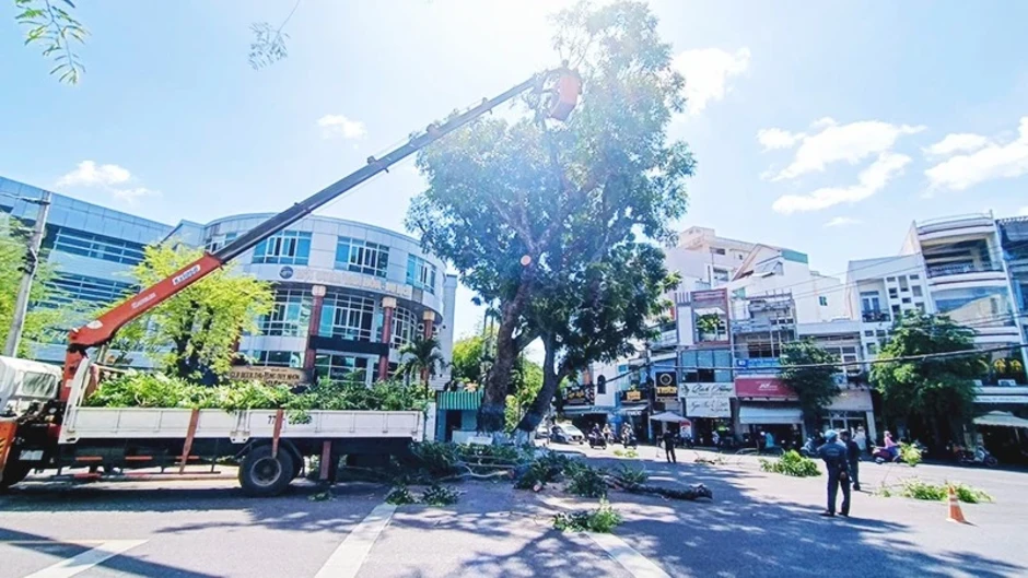 Không để bị động trước mùa mưa bão