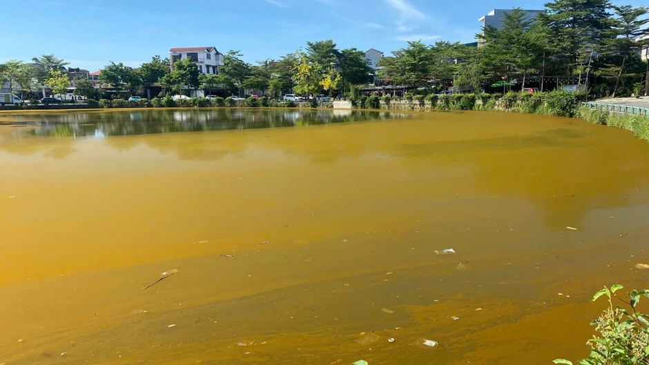 Mặt hồ Trái tim ở TP Huế xuất hiện lớp váng đặc quánh Mặt hồ Trái tim ở TP Huế xuất hiện lớp váng đặc quánh