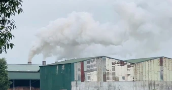 Người dân phản ánh ô nhiễm từ nhà máy viên nén gỗ, yêu cầu quan trắc môi trường