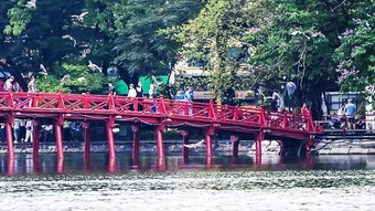Những cánh chim về đảo Ngọc