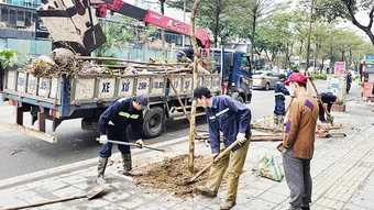 Thủ đô vẫn khát bóng cây