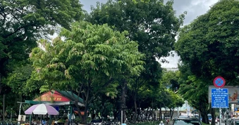 TP.HCM triển khai bãi đỗ xe cao tầng tại các bến xe buýt
