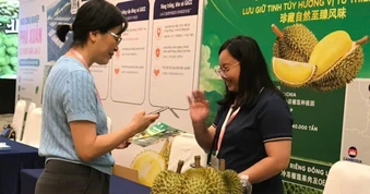 100 doanh nghiệp Trung Quốc đến TPHCM tìm mua sầu riêng