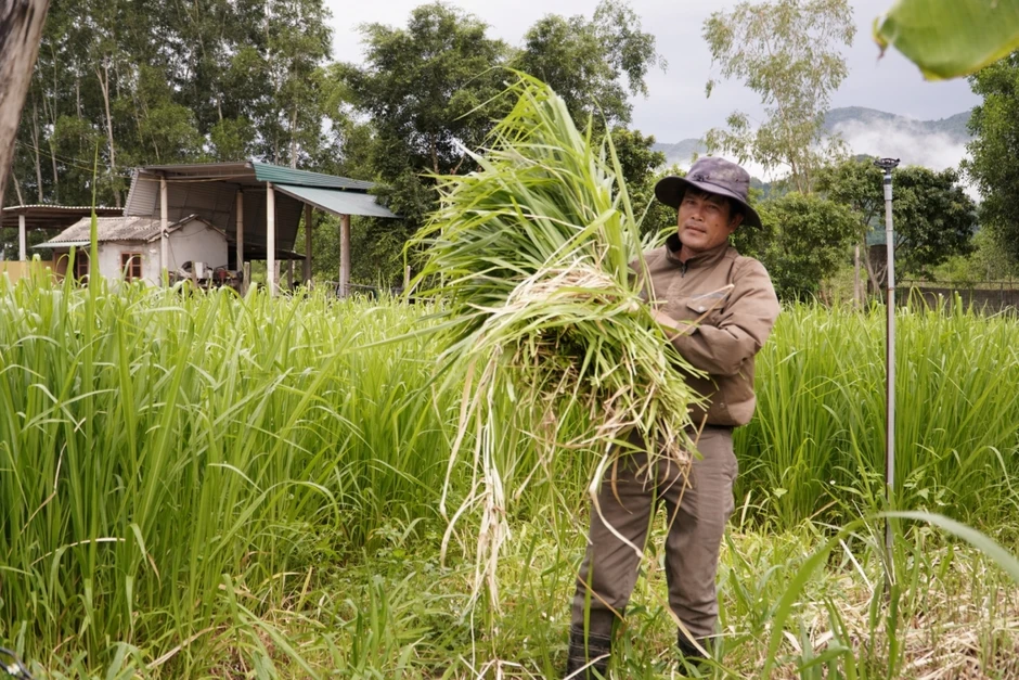 Agribank Bắc Quảng Bình: Hỗ trợ vốn tam nông giúp người dân miền núi làm giàu Agribank Bắc Quảng Bình: Hỗ trợ vốn tam nông giúp người dân miền núi làm giàu