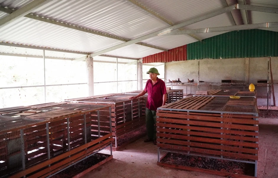 Agribank Bắc Quảng Bình: Hỗ trợ vốn tam nông giúp người dân miền núi làm giàu Agribank Bắc Quảng Bình: Hỗ trợ vốn tam nông giúp người dân miền núi làm giàu
