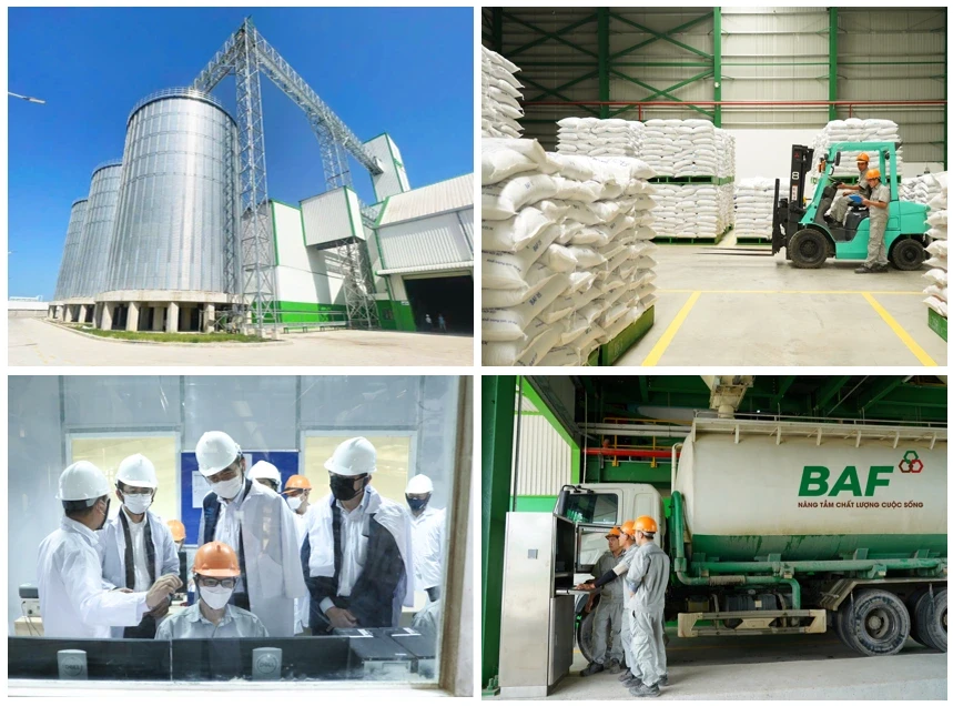 BAF vận hành thêm nhà máy cám heo ăn chay công suất 300.000 tấn/năm BAF vận hành thêm nhà máy cám heo ăn chay công suất 300.000 tấn/năm