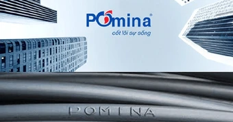 Báo cáo tài chính hé lộ 'mối quan hệ' giữa Vingroup và Pomina