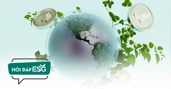 Báo Dân trí ra mắt chuyên mục Hỏi đáp ESG: Trợ lực cho doanh nghiệp