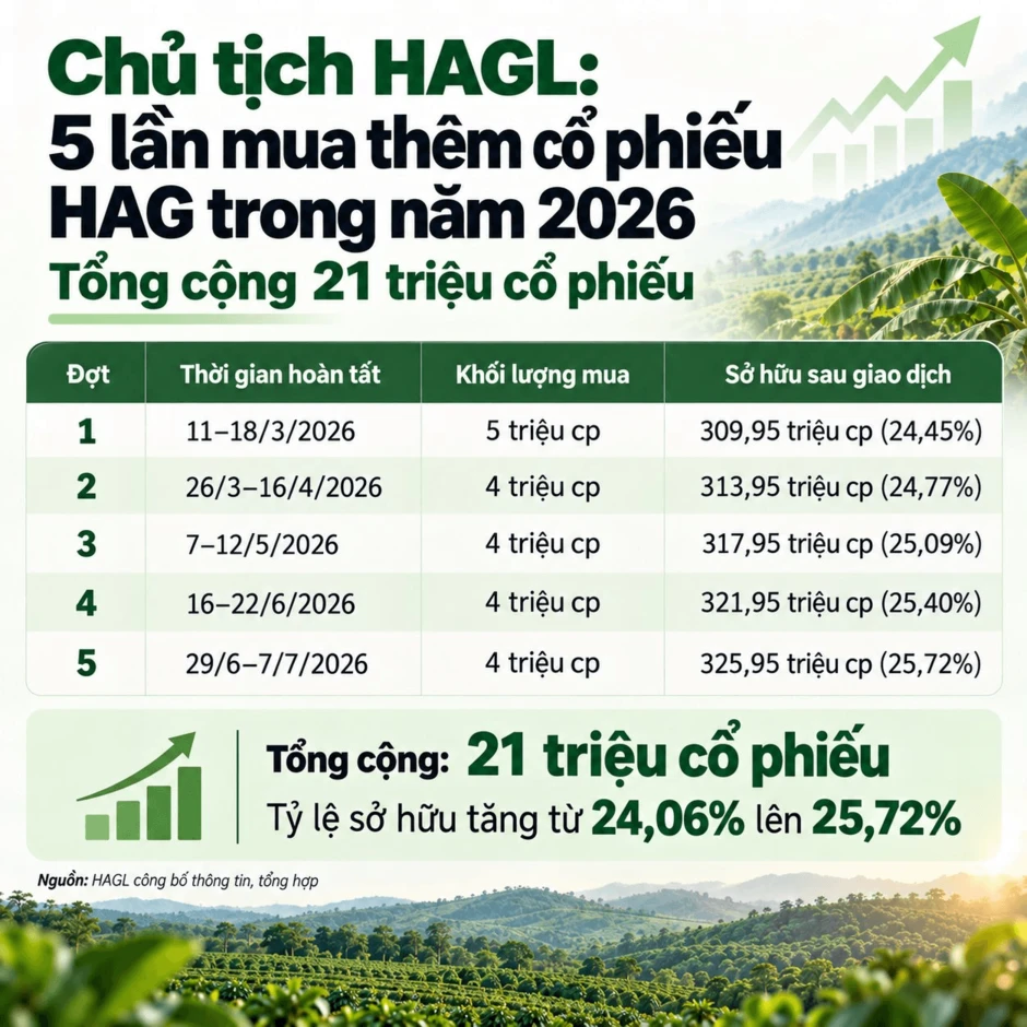 Bầu Đức 5 lần chi hơn 300 tỷ đồng bắt đáy cổ phiếu HAG sau tuyên bố "nếu lỗ cứ kêu tôi ra chửi", kết quả hiện tại ra sao?