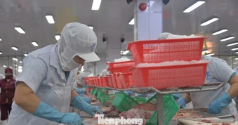 Cả vùng Đồng bằng sông Cửu Long chỉ có 24 tỷ USD vốn FDI