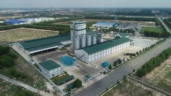 Cargill phát triển hệ sinh thái hỗ trợ chăn nuôi bền vững