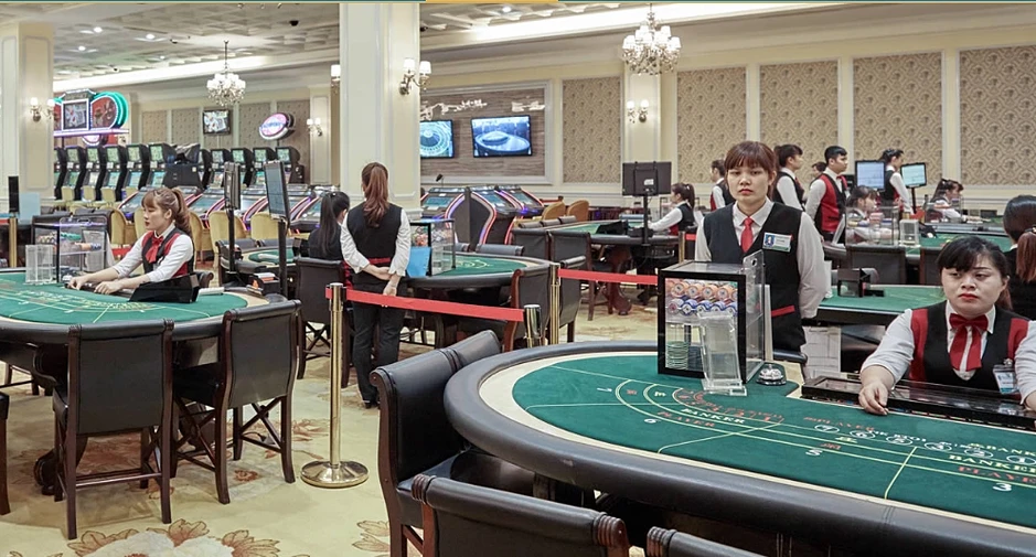 Chủ casino Royal Hạ Long báo lỗ vì World Cup Chủ casino Royal Hạ Long báo lỗ vì World Cup