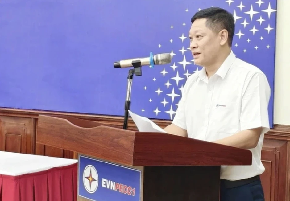 Chủ tịch vừa bị bắt, công ty điện bị cả 4 bên Big 4 từ chối kiểm toán