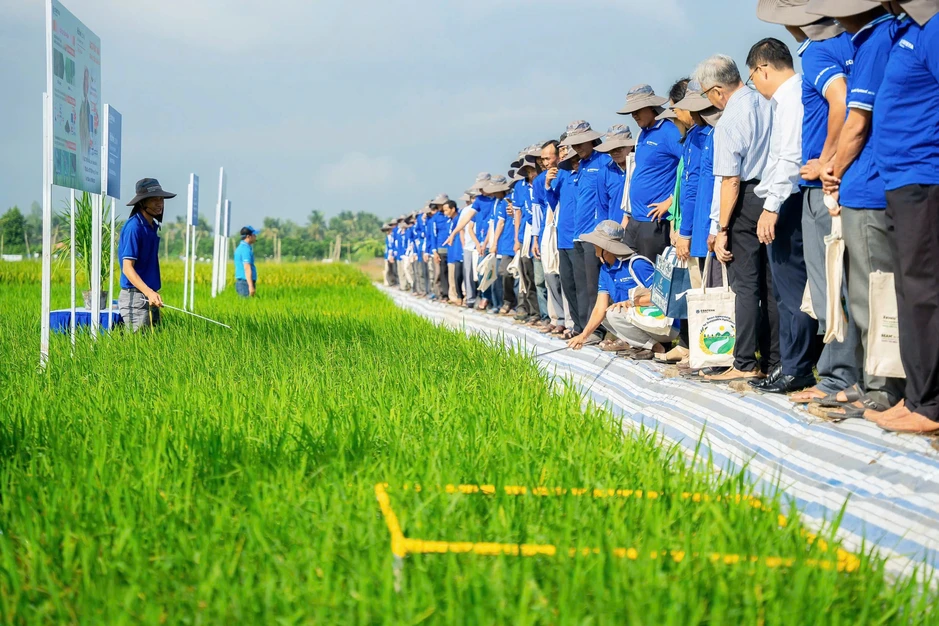 Corteva lan tỏa kiến thức sử dụng thuốc bảo vệ thực vật an toàn trong vụ Hè Thu Corteva lan tỏa kiến thức sử dụng thuốc bảo vệ thực vật an toàn trong vụ Hè Thu