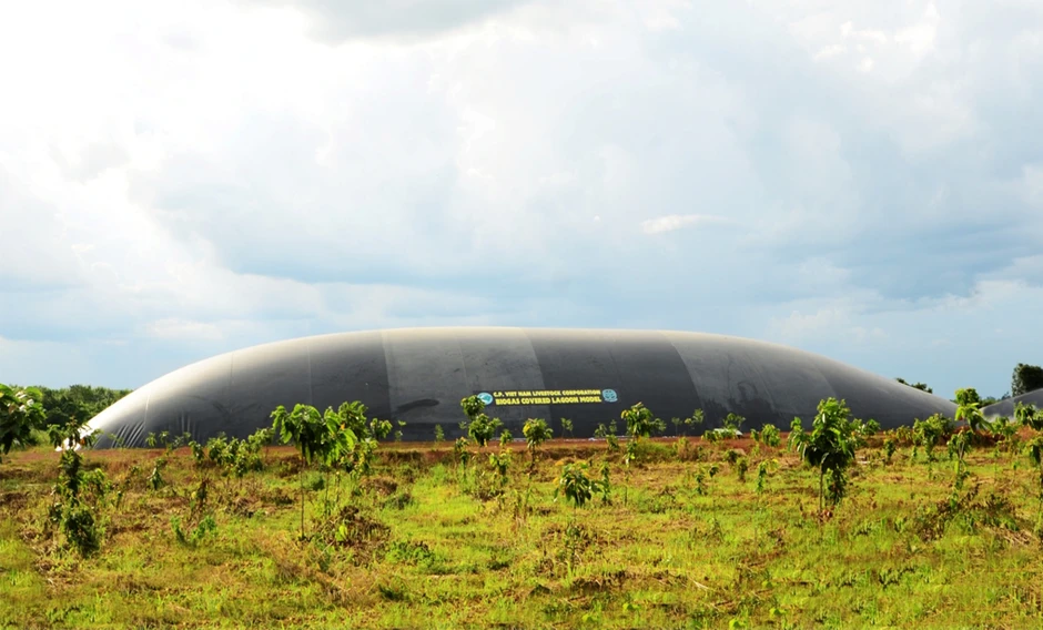 C.P. Việt Nam được vinh danh Top 10 “Doanh nghiệp Xanh – NetZero Hành động” C.P. Việt Nam được vinh danh Top 10 “Doanh nghiệp Xanh – NetZero Hành động”