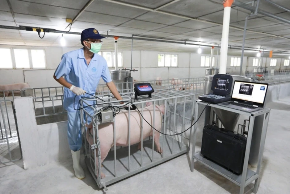 C.P. Việt Nam nêu giải pháp phòng bệnh trong chăn nuôi tại IPVS 2026 C.P. Việt Nam nêu giải pháp phòng bệnh trong chăn nuôi tại IPVS 2026