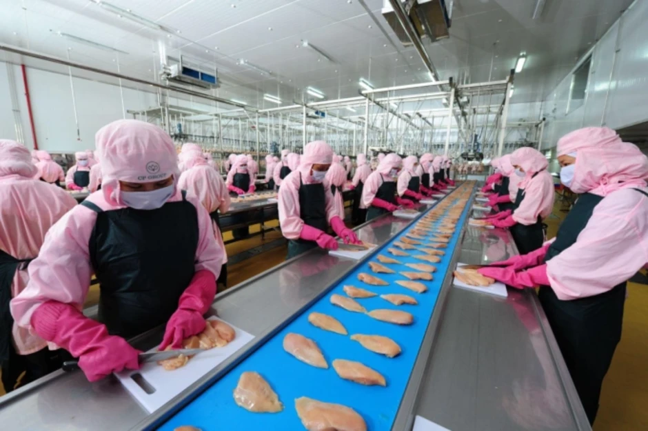 CPV Food Bình Phước thúc đẩy kiểm soát chất lượng chuỗi sản xuất CPV Food Bình Phước thúc đẩy kiểm soát chất lượng chuỗi sản xuất