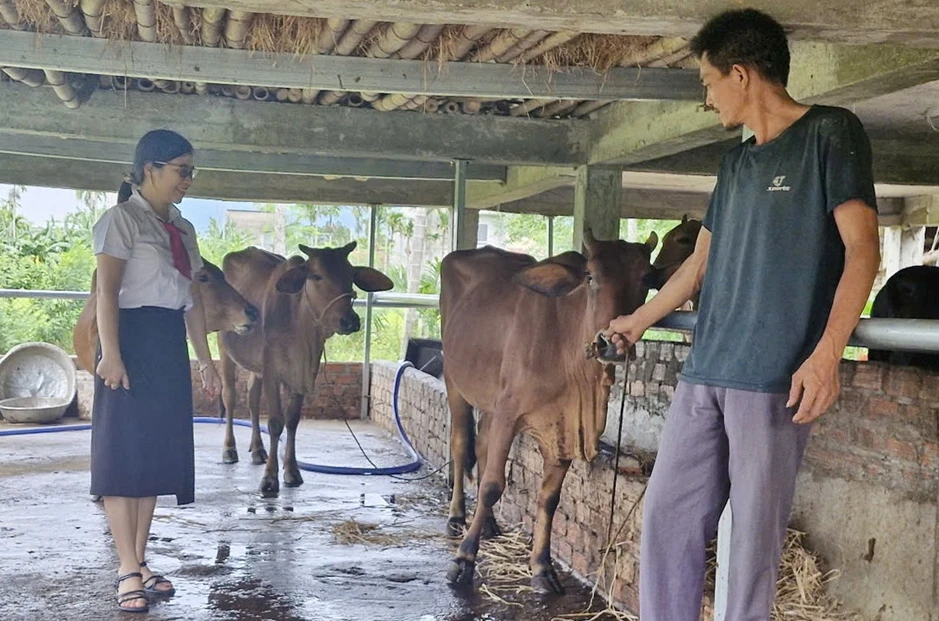 Đà Nẵng: Nông dân ở Đại Lộc vươn lên thoát nghèo nhờ nguồn vốn Agribank Đà Nẵng: Nông dân ở Đại Lộc vươn lên thoát nghèo nhờ nguồn vốn Agribank