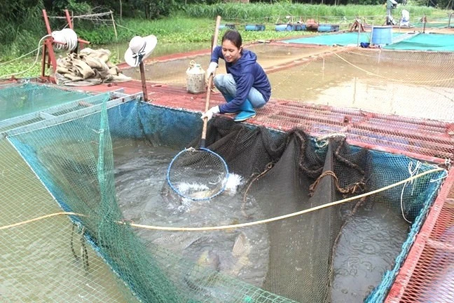 Đề xuất miễn thuế doanh nghiệp nhỏ: Ngưỡng nào để vượt giai đoạn ‘mong manh’? Đề xuất miễn thuế doanh nghiệp nhỏ: Ngưỡng nào để vượt giai đoạn ‘mong manh’?