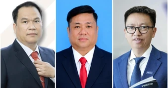 Điểm tên 5 Chủ tịch của các công ty điện liên tiếp bị khởi tố, bắt tạm giam