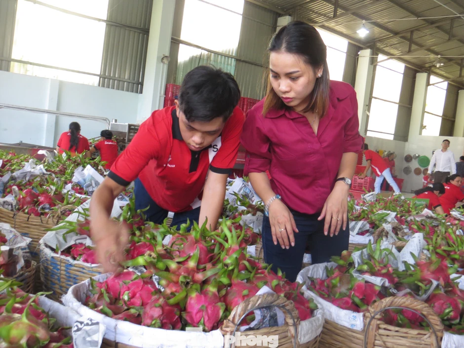 Doanh nghiệp 'ngộp thở' vì chi phí logistics tăng sốc Doanh nghiệp 'ngộp thở' vì chi phí logistics tăng sốc