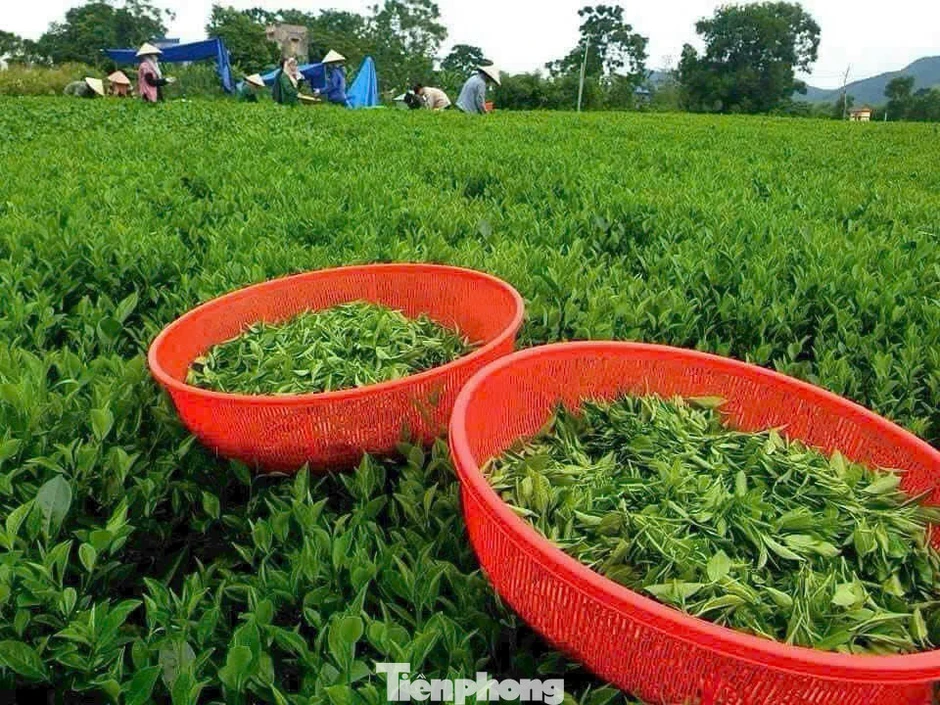 Doanh nghiệp nói về điều quan trọng hơn cả lãi suất thấp Doanh nghiệp nói về điều quan trọng hơn cả lãi suất thấp
