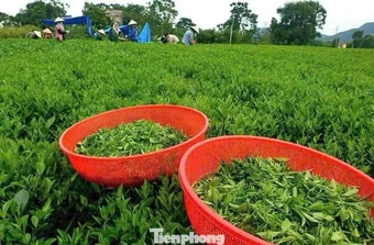 Doanh nghiệp nói về điều quan trọng hơn cả lãi suất thấp