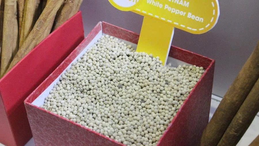 Doanh nghiệp nông sản gấp rút chạy đua trước thềm Lệnh 280 của Trung Quốc